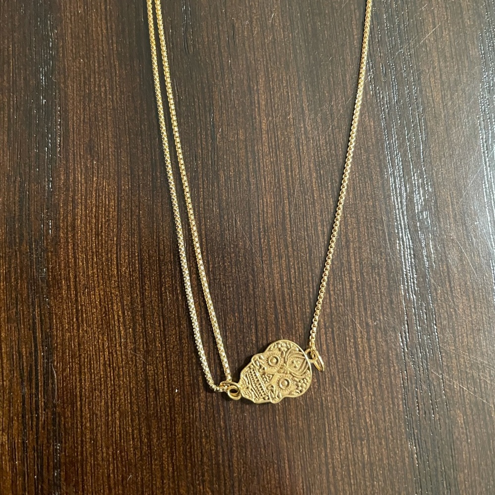 Alex and ani file skull necklace